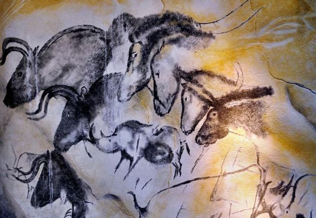Foto von Zeichnungen meherer Pferde, Nashörner und anderer Tiere